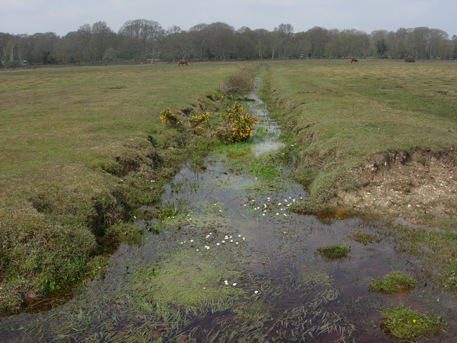 Vegetated Waterways