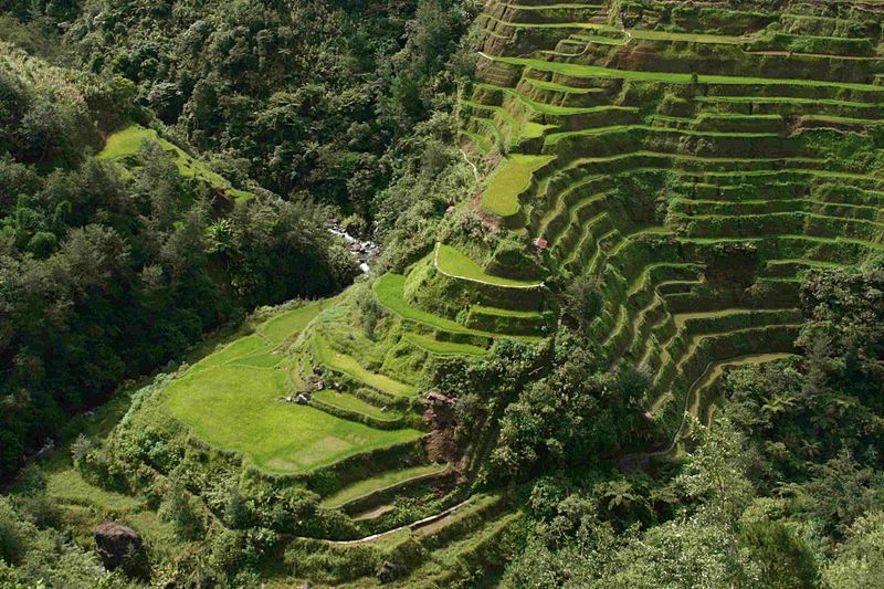 Ifugao Rice Terraces