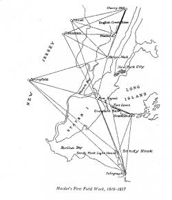 Cranetown Triangulation Site