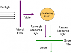 C.V. Raman and the Raman Effect