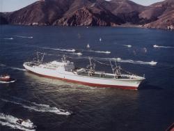 NS Savannah